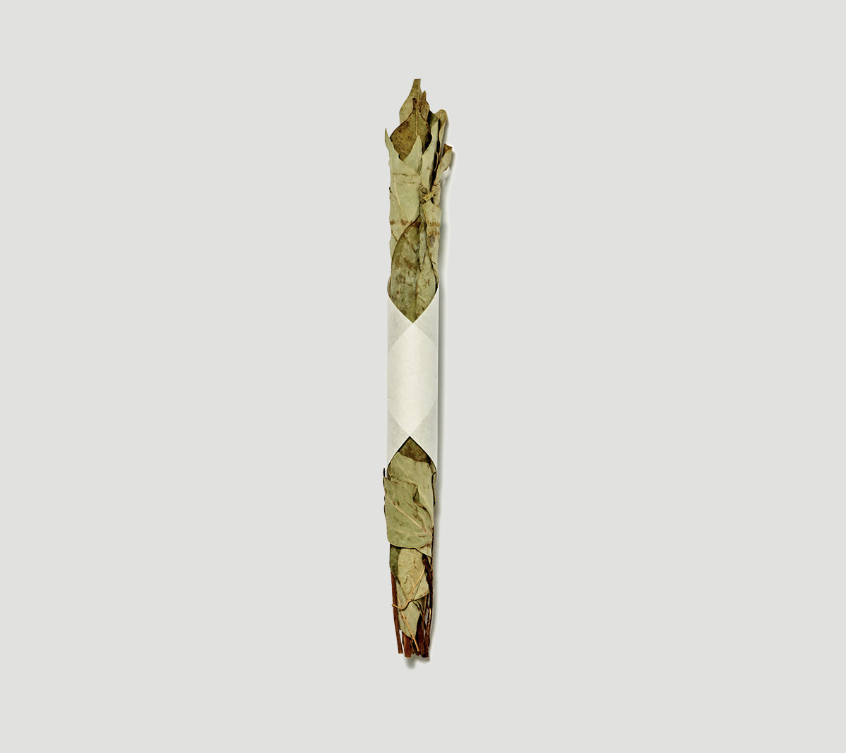 Japanese smudge stick - Kusunoki (Camphor tree)